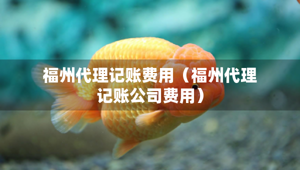 福州代理记账费用（福州代理记账公司费用）