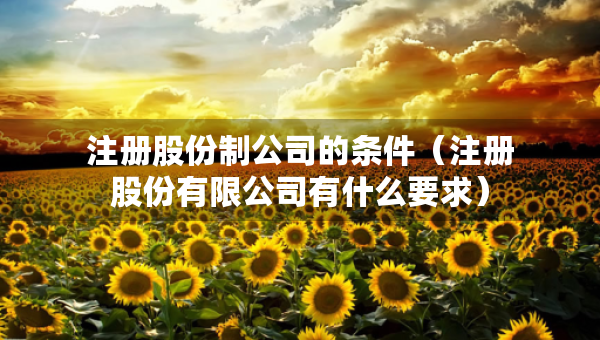 注册股份制公司的条件（注册股份有限公司有什么要求）