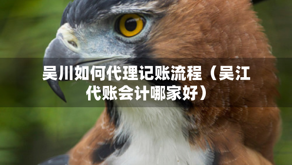 吴川如何代理记账流程（吴江代账会计哪家好）