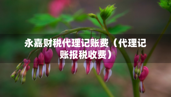 永嘉财税代理记账费（代理记账报税收费）