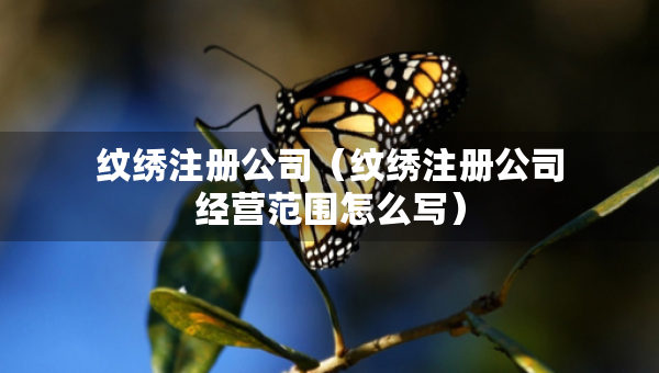 纹绣注册公司（纹绣注册公司经营范围怎么写）