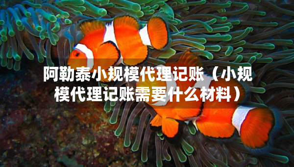 阿勒泰小规模代理记账（小规模代理记账需要什么材料）