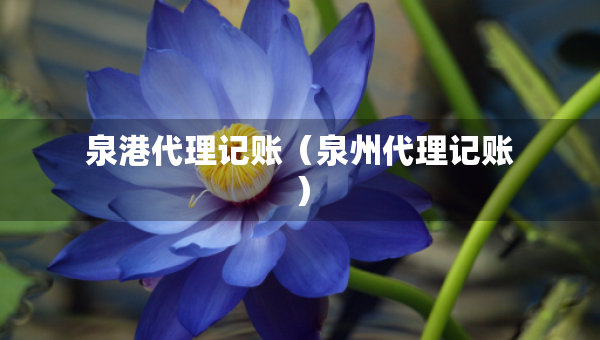 泉港代理记账（泉州代理记账）