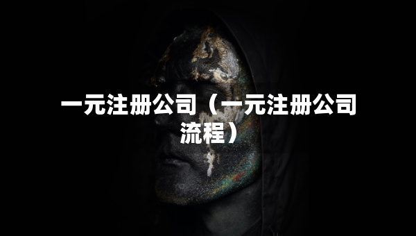 一元注册公司（一元注册公司流程）