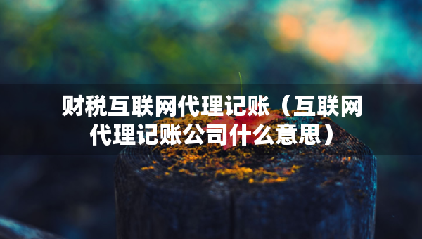 财税互联网代理记账（互联网代理记账公司什么意思）