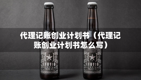 代理记账创业计划书（代理记账创业计划书怎么写）