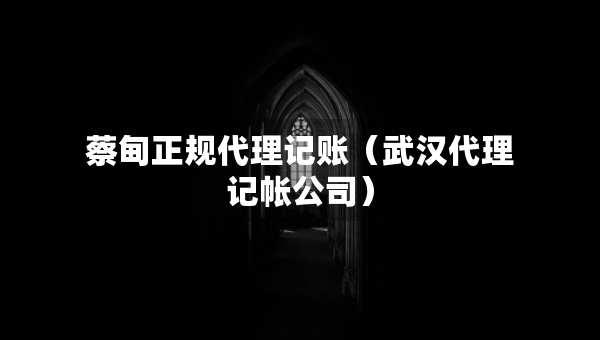 蔡甸正规代理记账（武汉代理记帐公司）