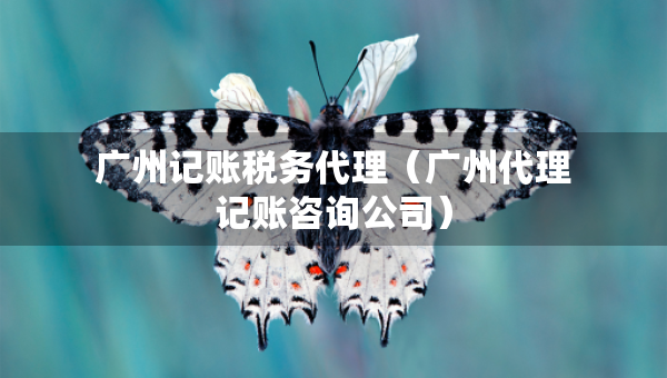 广州记账税务代理（广州代理记账咨询公司）