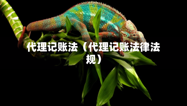 代理记账法（代理记账法律法规）