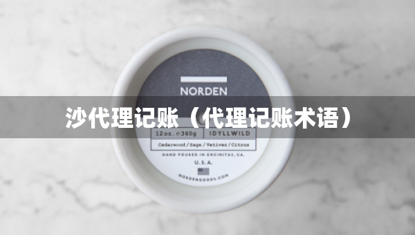 沙代理记账（代理记账术语）