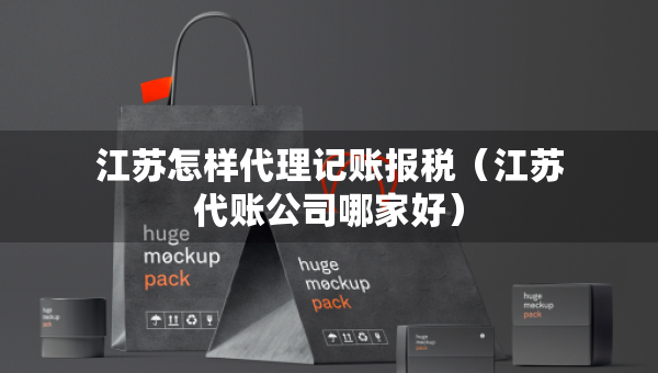 江苏怎样代理记账报税（江苏代账公司哪家好）