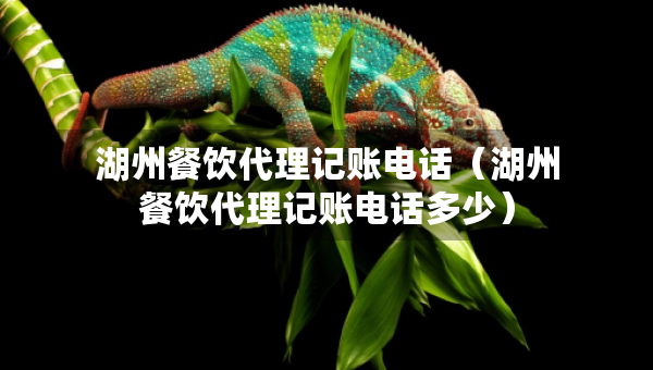 湖州餐饮代理记账电话（湖州餐饮代理记账电话多少）