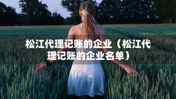 松江代理记账的企业（松江代理记账的企业名单）