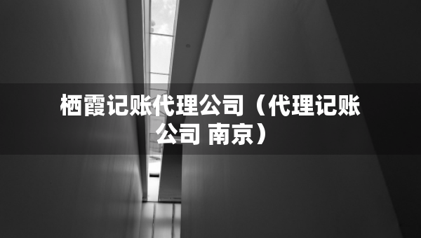 栖霞记账代理公司（代理记账公司 南京）