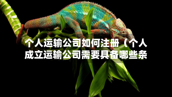 个人运输公司如何注册（个人成立运输公司需要具备哪些条件）