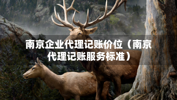 南京企业代理记账价位(南京代理记账服务标准) 南京企业代理记账价位(南京代理记账服务标准)