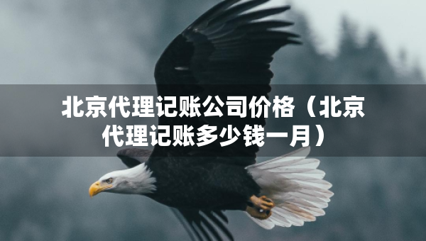 北京代理记账公司价格（北京代理记账多少钱一月）