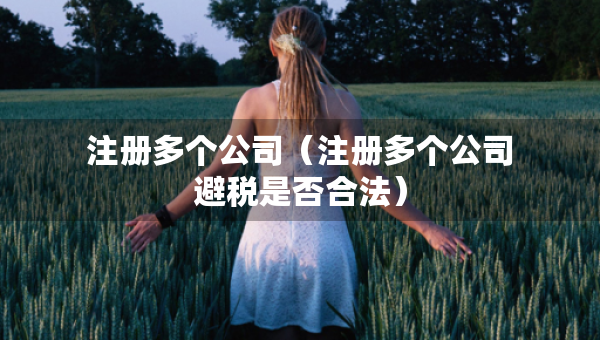 注册多个公司（注册多个公司避税是否合法）