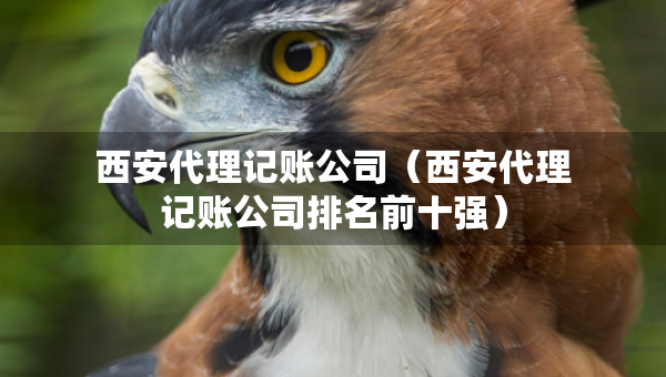 西安代理记账公司（西安代理记账公司排名前十强）