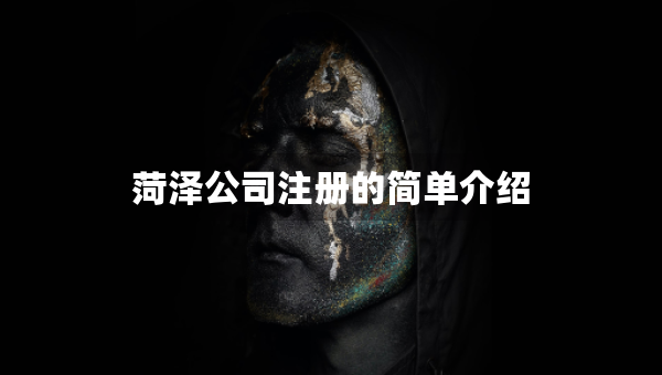 菏泽公司注册的简单介绍