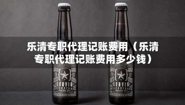 乐清专职代理记账费用（乐清专职代理记账费用多少钱）