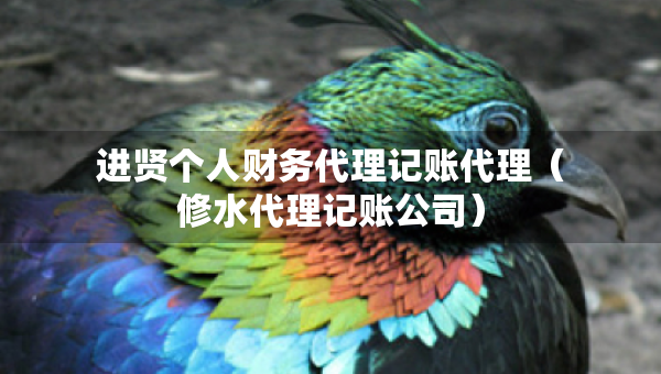 进贤个人财务代理记账代理（修水代理记账公司）