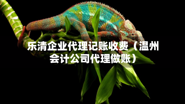 乐清企业代理记账收费（温州会计公司代理做账）