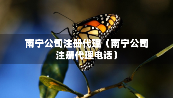 南宁公司注册代理（南宁公司注册代理电话）