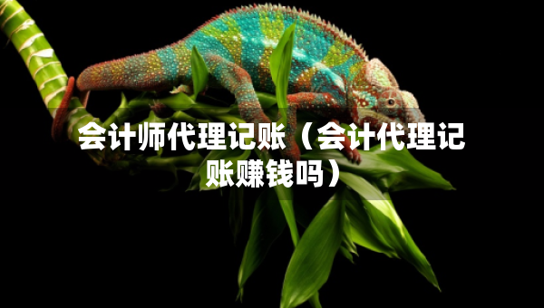 会计师代理记账（会计代理记账赚钱吗）