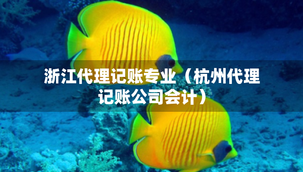 浙江代理记账专业（杭州代理记账公司会计）