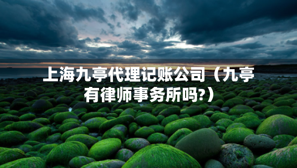 上海九亭代理记账公司（九亭有律师事务所吗?）