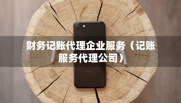 财务记账代理企业服务（记账服务代理公司）