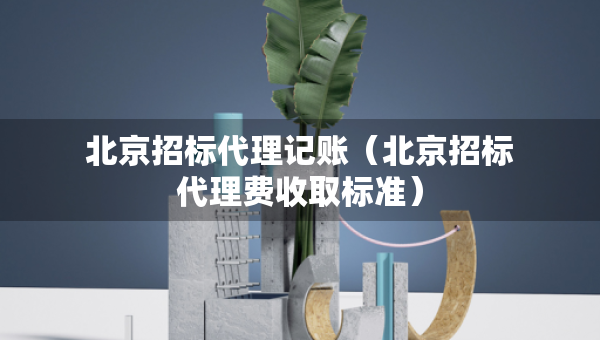北京招标代理记账（北京招标代理费收取标准）