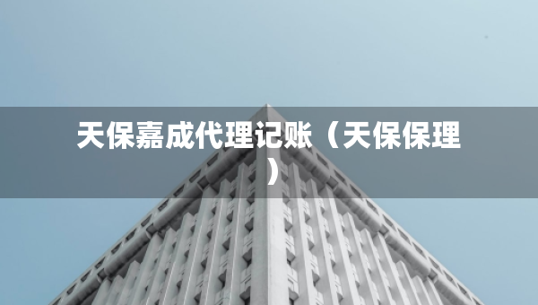 天保嘉成代理记账（天保保理）