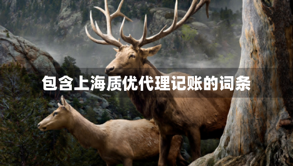 包含上海质优代理记账的词条