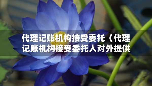 代理记账机构接受委托（代理记账机构接受委托人对外提供财务报表时）