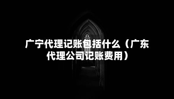 广宁代理记账包括什么（广东代理公司记账费用）