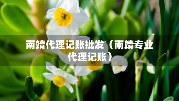 南靖代理记账批发（南靖专业代理记账）