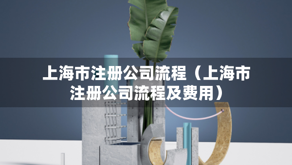 上海市注册公司流程（上海市注册公司流程及费用）