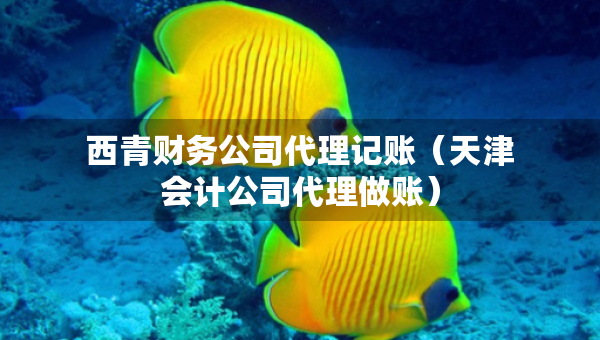 西青财务公司代理记账（天津会计公司代理做账）