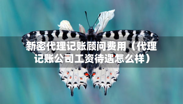 新密代理记账顾问费用（代理记账公司工资待遇怎么样）