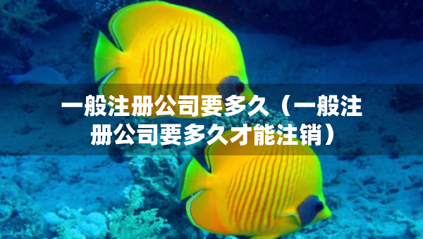 一般注册公司要多久（一般注册公司要多久才能注销）