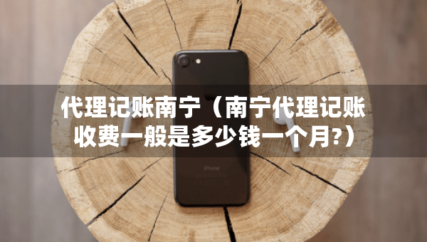代理记账南宁（南宁代理记账收费一般是多少钱一个月?）