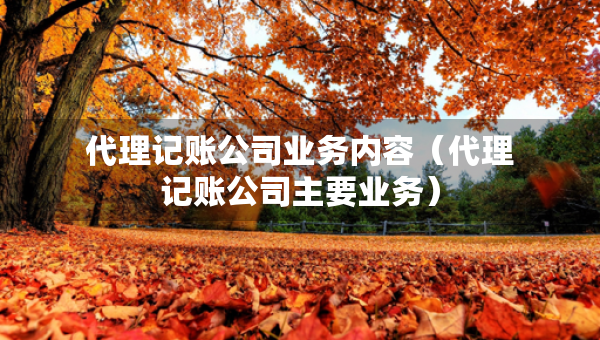 代理记账公司业务内容（代理记账公司主要业务）