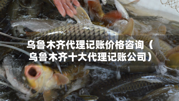 乌鲁木齐代理记账价格咨询（乌鲁木齐十大代理记账公司）
