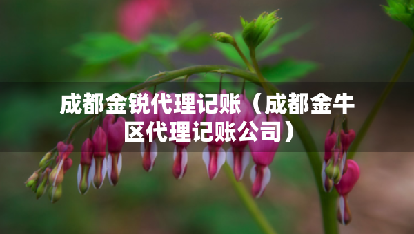 成都金锐代理记账（成都金牛区代理记账公司）