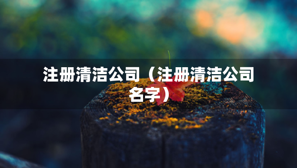 注册清洁公司（注册清洁公司名字）