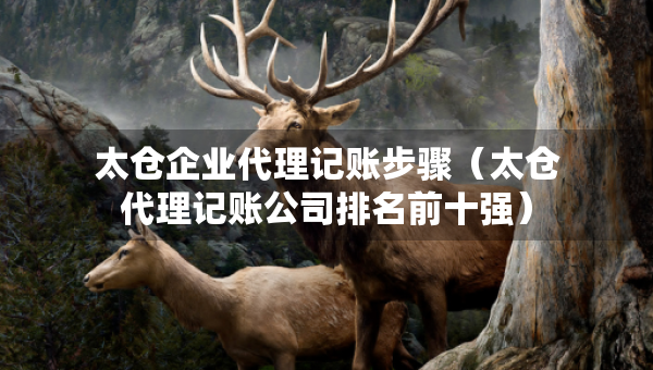 太仓企业代理记账步骤（太仓代理记账公司排名前十强）