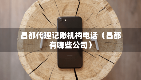 昌都代理记账机构电话（昌都有哪些公司）