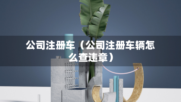 公司注册车（公司注册车辆怎么查违章）